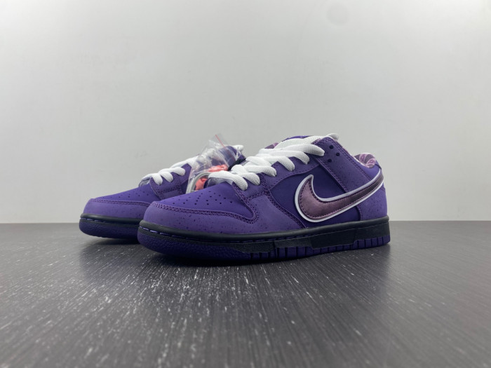 concepts x dunk low sb