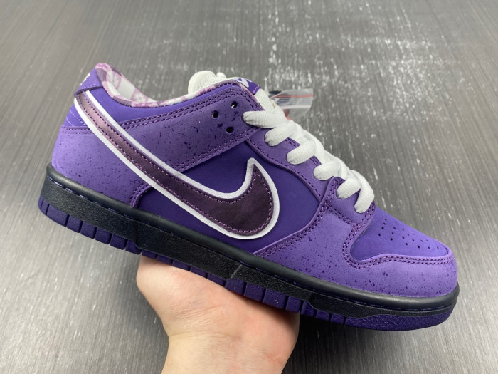concepts x dunk low sb