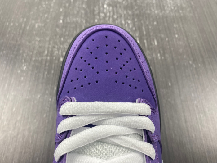 concepts x dunk low sb