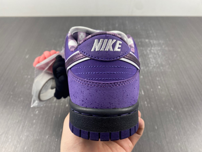 concepts x dunk low sb