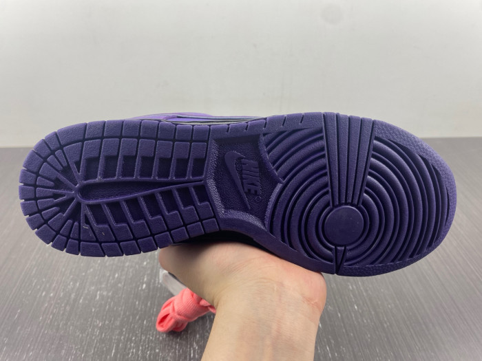 concepts x dunk low sb