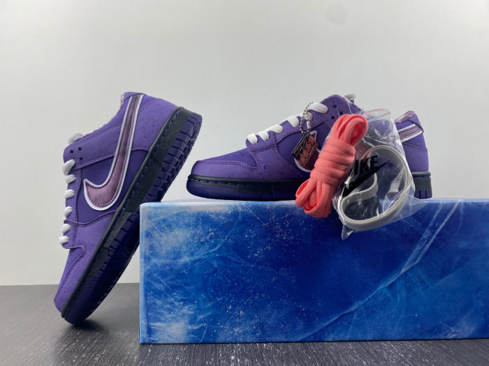 concepts x dunk low sb