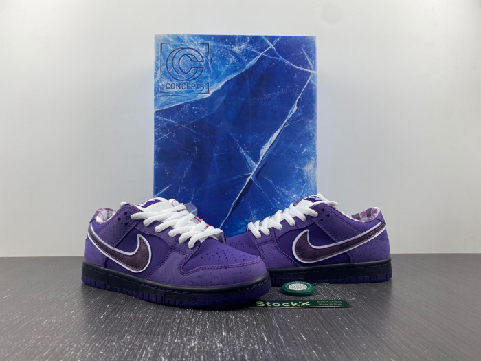 concepts x dunk low sb