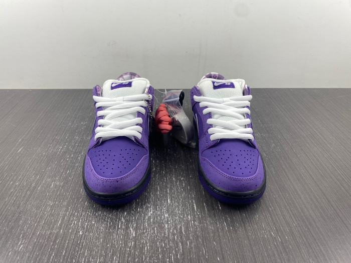 concepts x dunk low sb