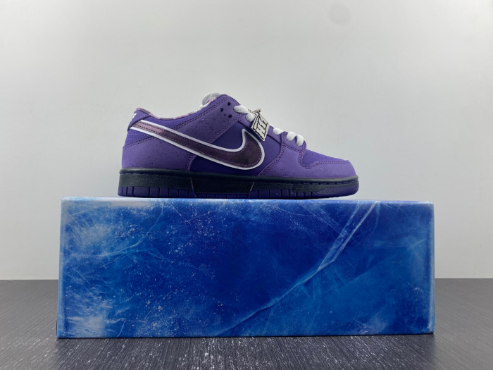 concepts x dunk low sb