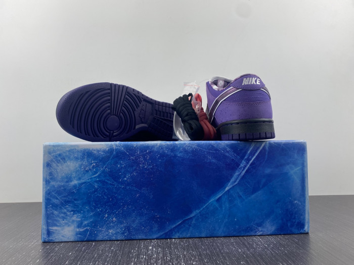 concepts x dunk low sb
