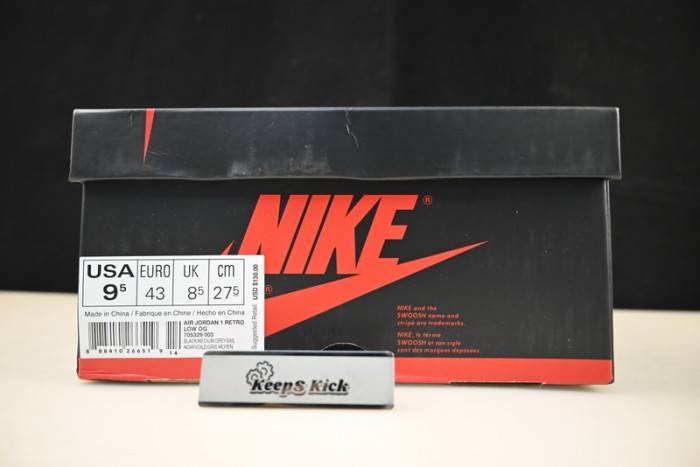 air jordan 1 retro low og