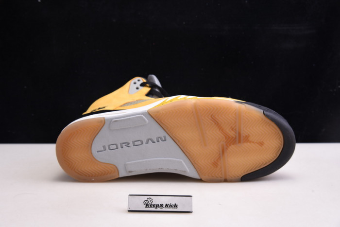 air jordan 5 retro t23